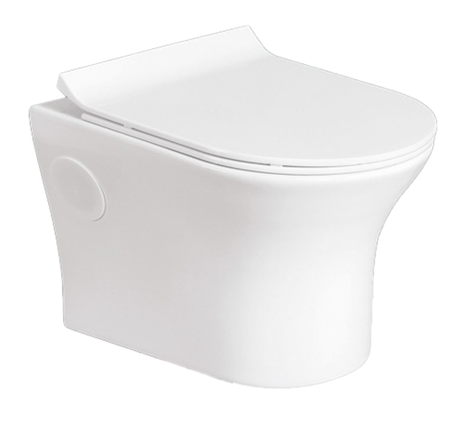 Wall Hung Toilet With Soft Close Seat Rimeless Phoenix Auction House